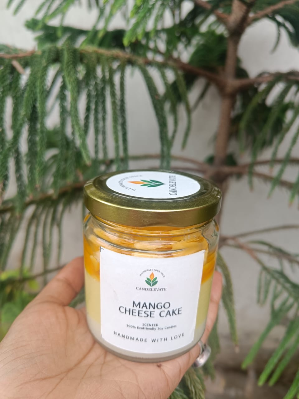 Mango Cheese Cake Candle